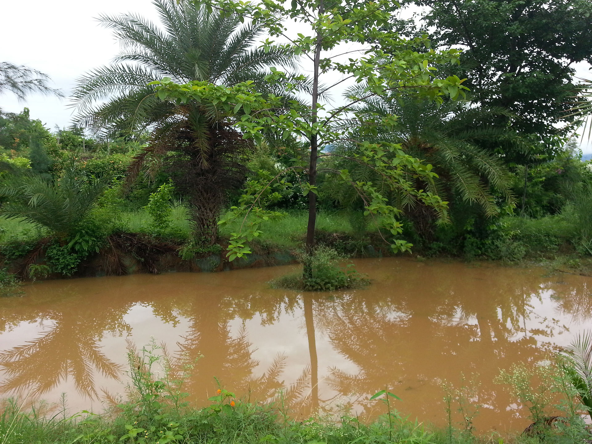 Retention Pond