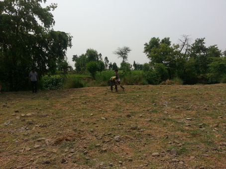 Permaculture Design in 2 Acres