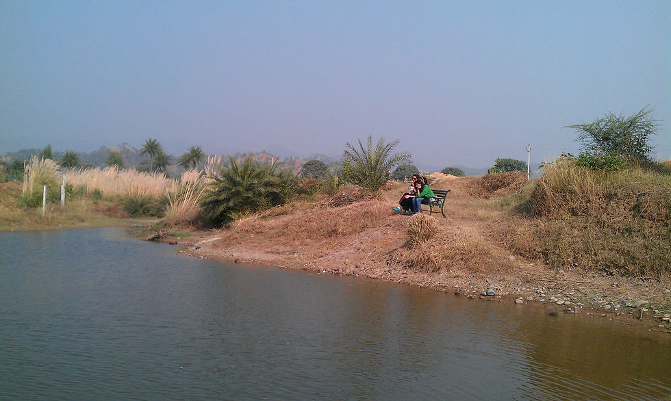pond with aquatic life