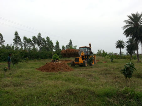 Water Management in Permaculture: Build Shallow Pools