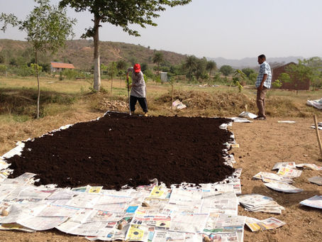 Soil Management in Permaculture: Wood Chip Farming
