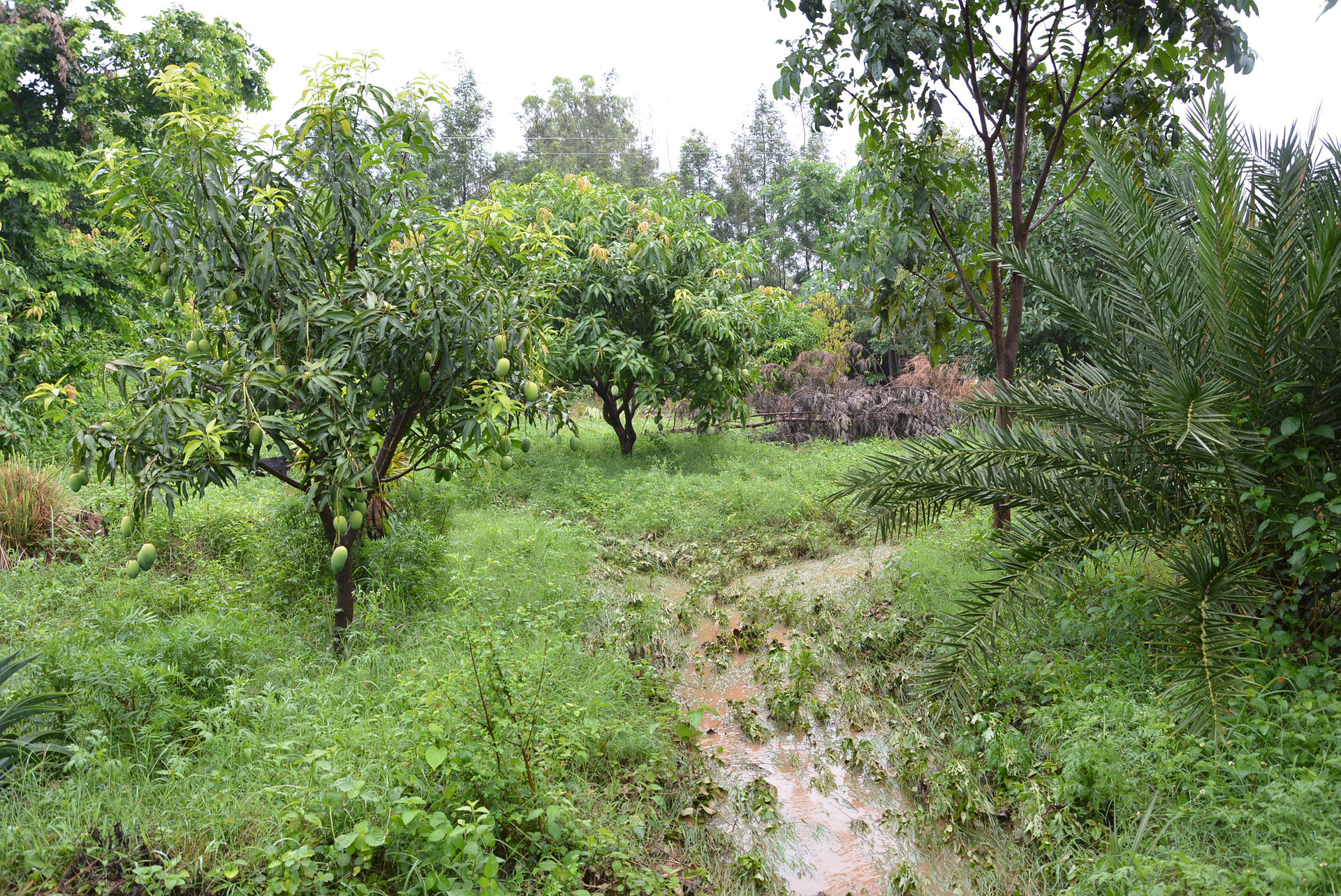 Water Channels