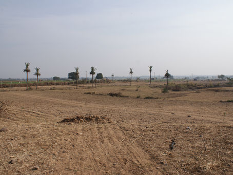 How we started a Permaculture Farm!