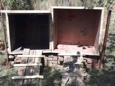 Sustainable Building : Chicken Coop