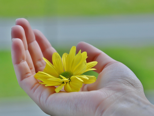 Compassie voor jezelf (3)