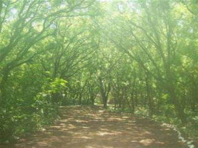 Entiteiten hoe zit het daarmee? Deel 2