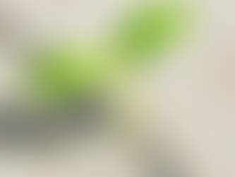 Negativiteit is vrijwel altijd een vervormde kwaliteit!