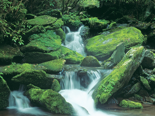 Intuïtie Versterken