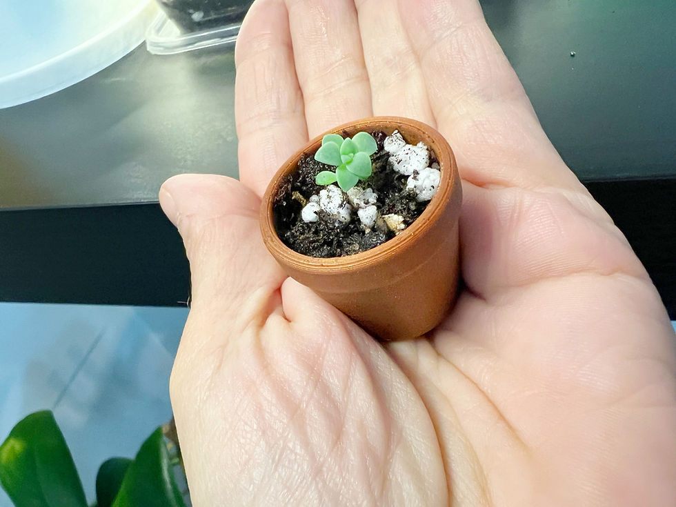 Miniature : Mini Pots à jardinage - (Mini Planters)