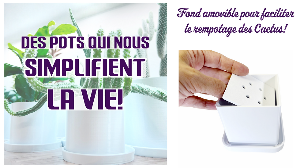 Miniature : Pot à jardinage à fond amovible - Cube (Removable bottom Planter - Cube)