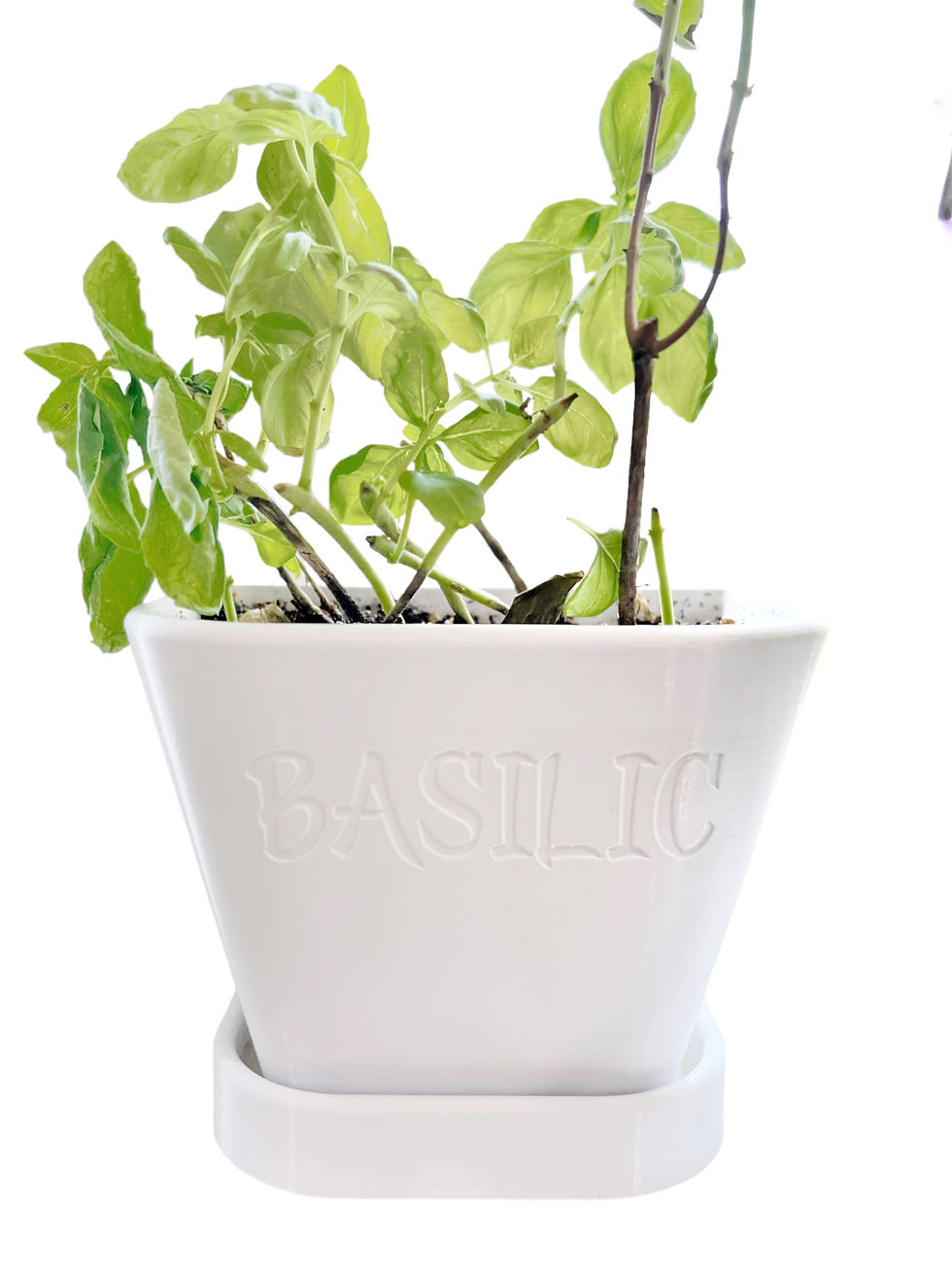 Thumbnail: Pot à jardinage - Demi Carré (Planter - Half Square)