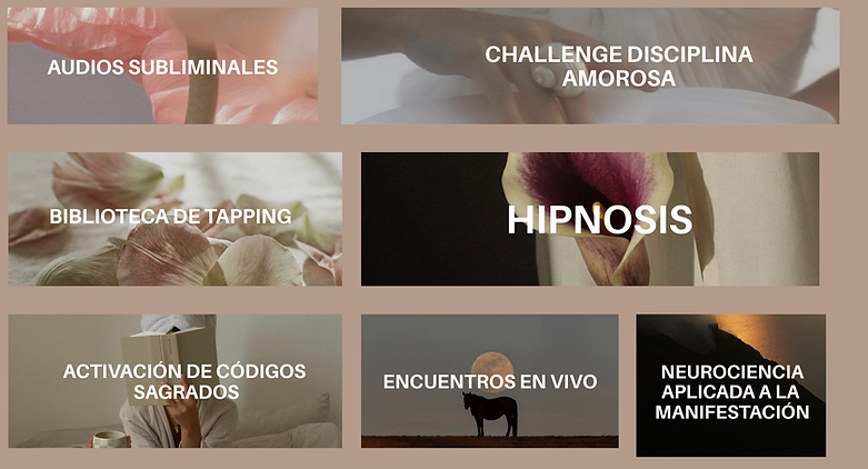 Post de instagram Collage moodboard idea branding aesthetic pastel (Presentación) (1).png