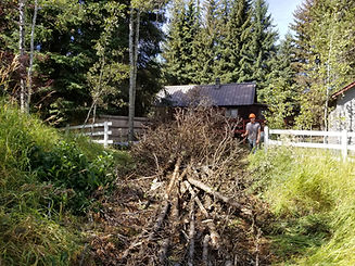 20180901_113033.jpg