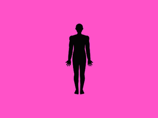 What is the Human Body’s Largest Organ?