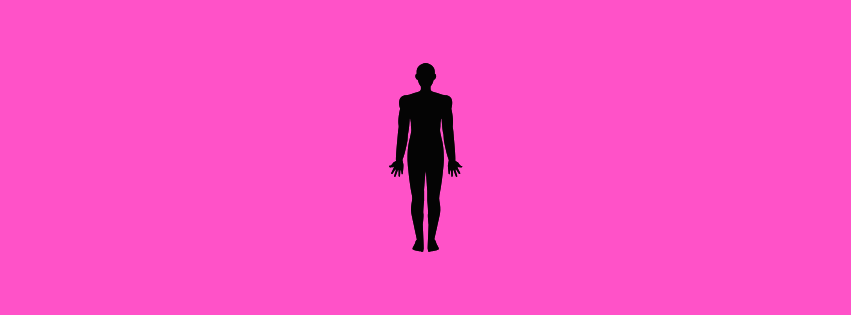 What is the Human Body’s Largest Organ?