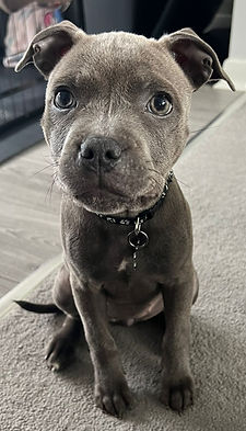 image0 (1)_edited.jpg