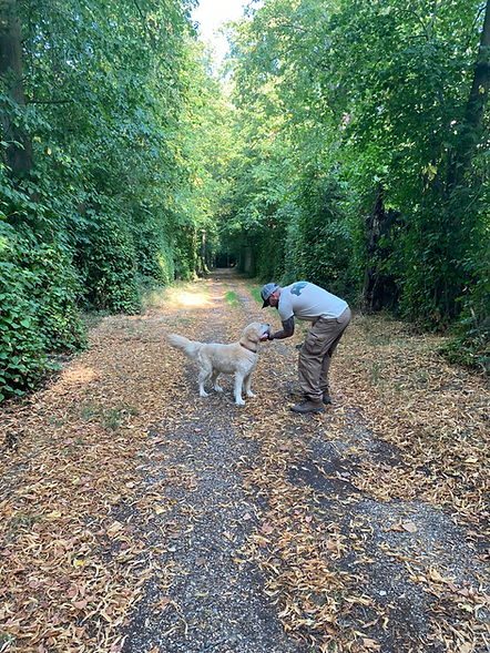 Dog trainer stroking golden retriever dog