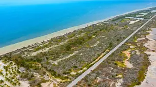 Desde Progreso hasta Telchac Puerto, la costa yucateca está viviendo una transformación fascinante.