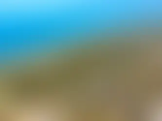 Desde Progreso hasta Telchac Puerto, la costa yucateca está viviendo una transformación fascinante.