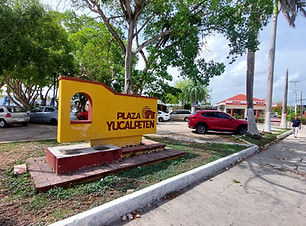 py14.jpg