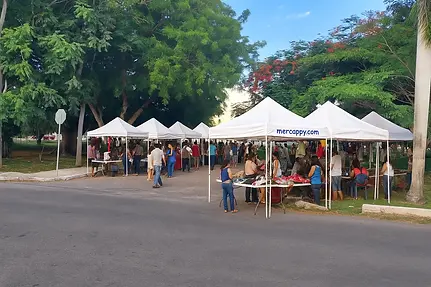 bazar ecológico ecorider 5x.webp