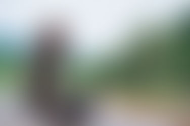 Cooperativa Social lanza seis Convocatorias en el Sureste de México para apoyar la economía local