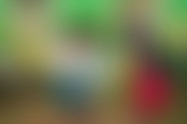 Presentan Estrategia de Combate a la Pobreza en las Comisarías de Mérida