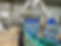YESW 11.JPG