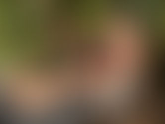 Por que sou naturista?