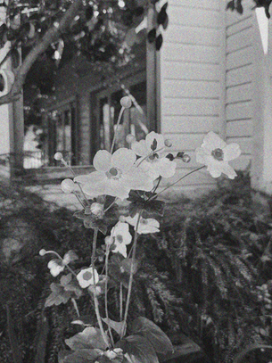 The impacts of stress on our health