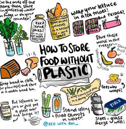 Plastic Free
