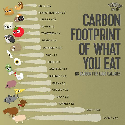 Carbon Footprint