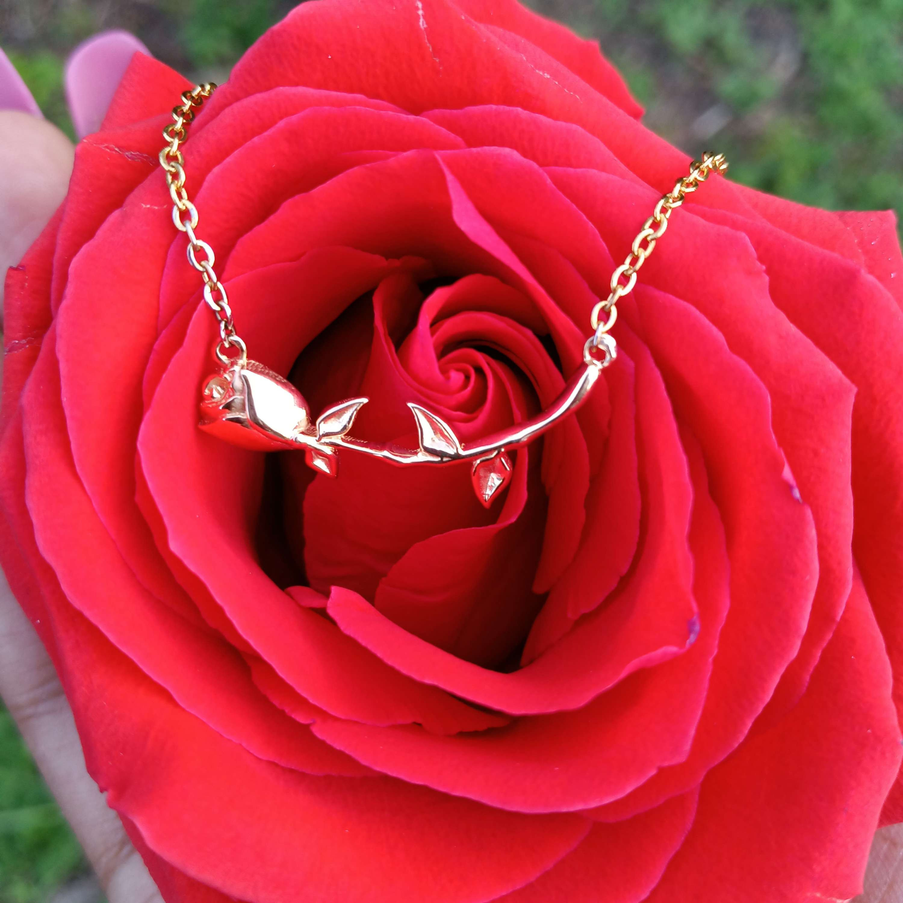 Laying Rose