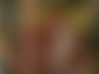 gressini au gomasio du nomade