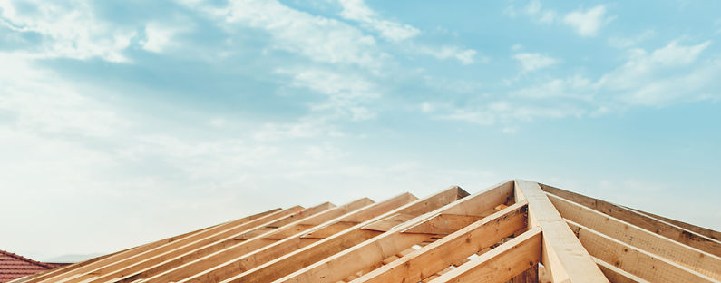 Roof Construction  _edited.jpg