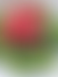 Quinotto al Pesto // SIN aceite!