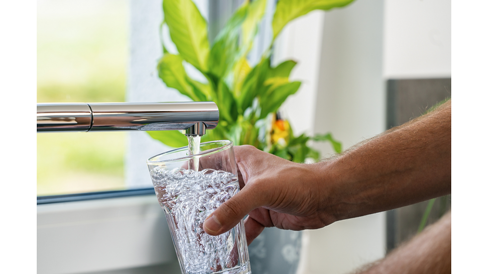 A chrome sink tap filling up a glass of water with a green plant in the background