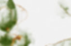 green-watercolor-texture-with-gold-glitters-background.jpg