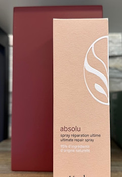 Spray réparation Ultime Absolu