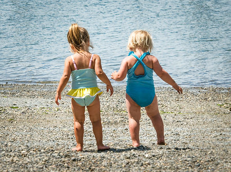 Sandy Chapin Photography