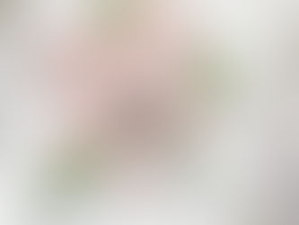 Honey Bee Stamps|Sneak Peek Day 4 Spring Bliss Release