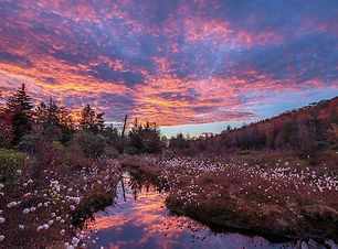Otter Creek Wilderness .jpg