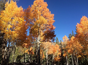 High Schells Wilderness.jpg