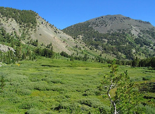 Mount Rose Wilderness.jpg