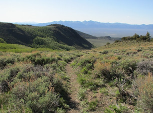 Arc Dome Wilderness.jpg