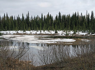 Denali State Park.jpg