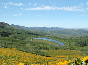 Jarbidge Wilderness .jpg