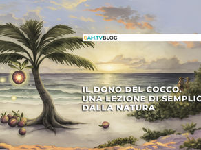 Il dono del cocco. Una lezione di semplicità dalla natura