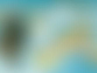 La luce che non si spegne: Viaggio attraverso le anime che restano.