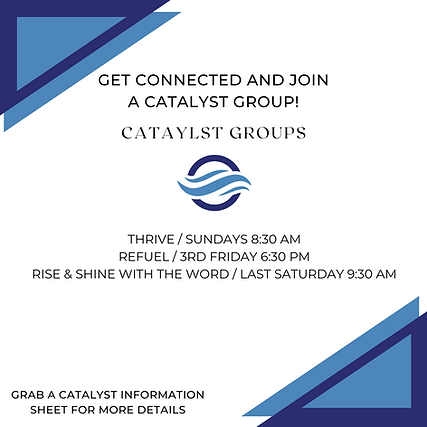 Catalyst Groups (Instagram Post) (1).png